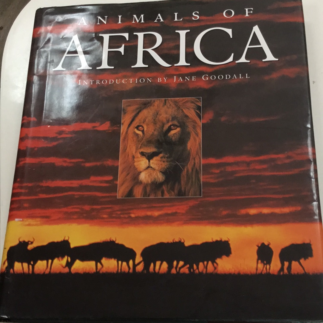 Animals of Africa