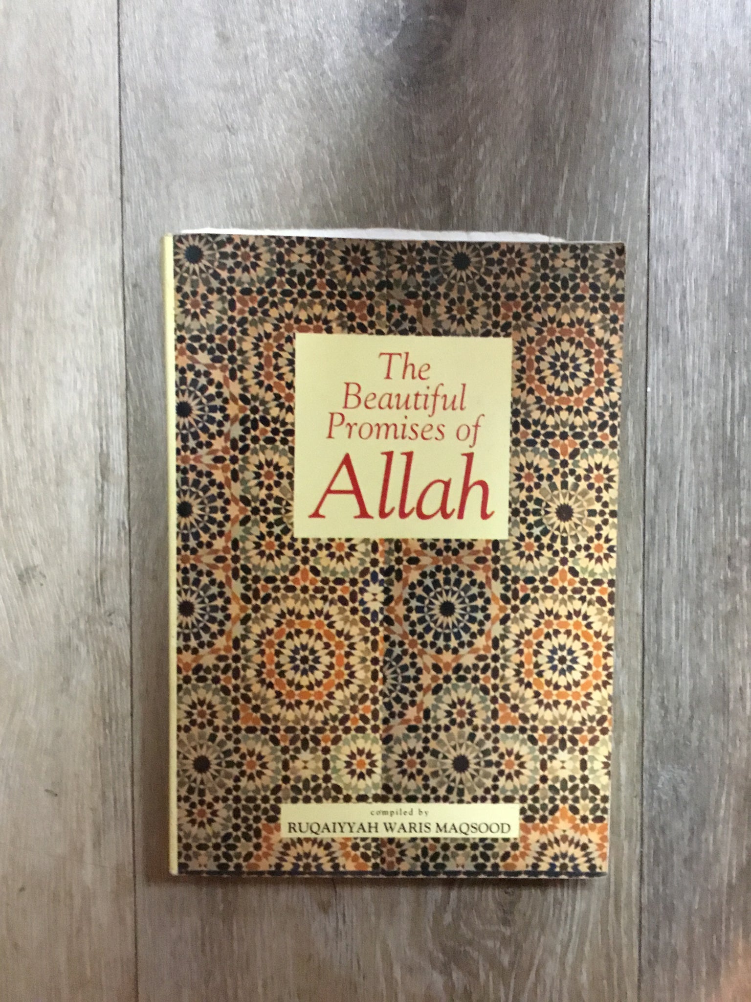 The Beautiful Promises of Allah