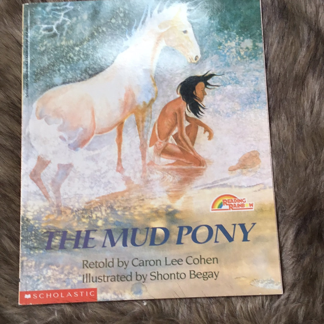 The mud pony