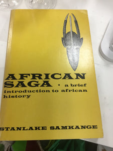 African Saga A Brief Introduction to African History