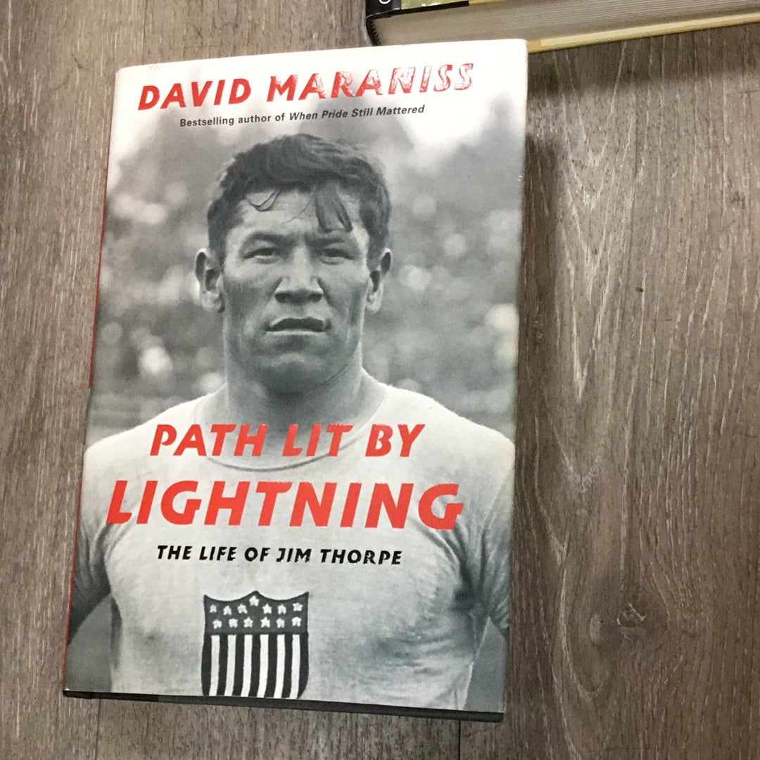 Path lit by lightning