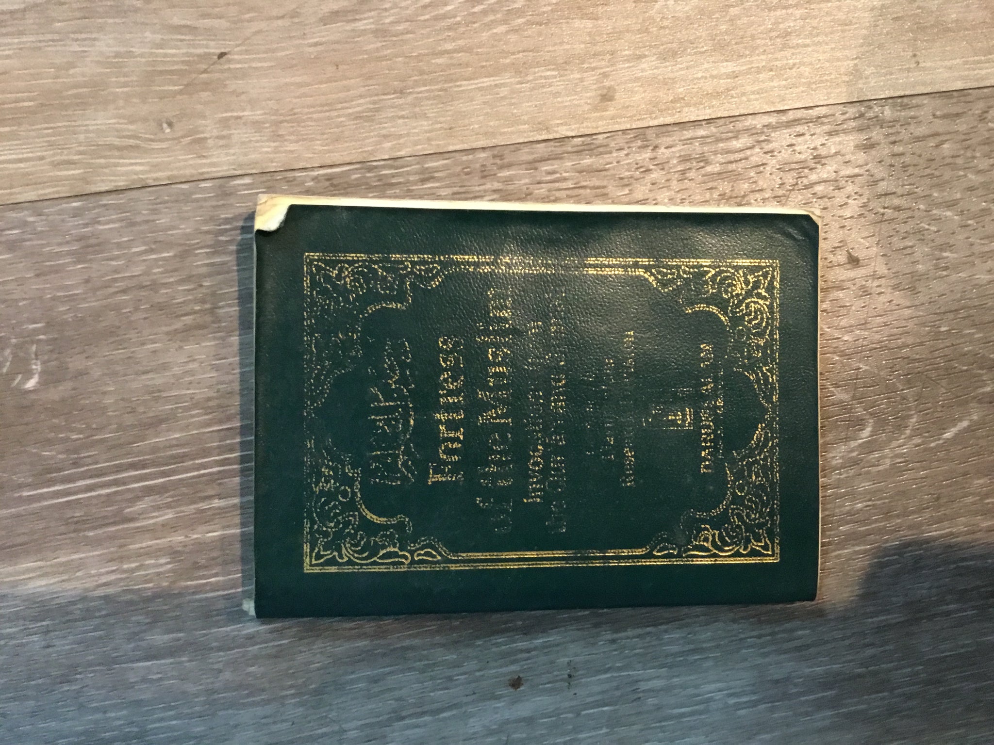 Fortress of the Muslim