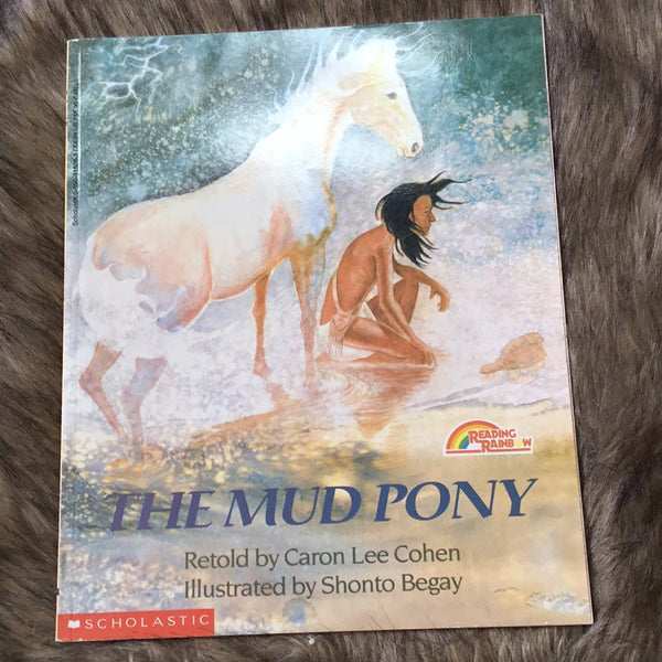 The mud pony