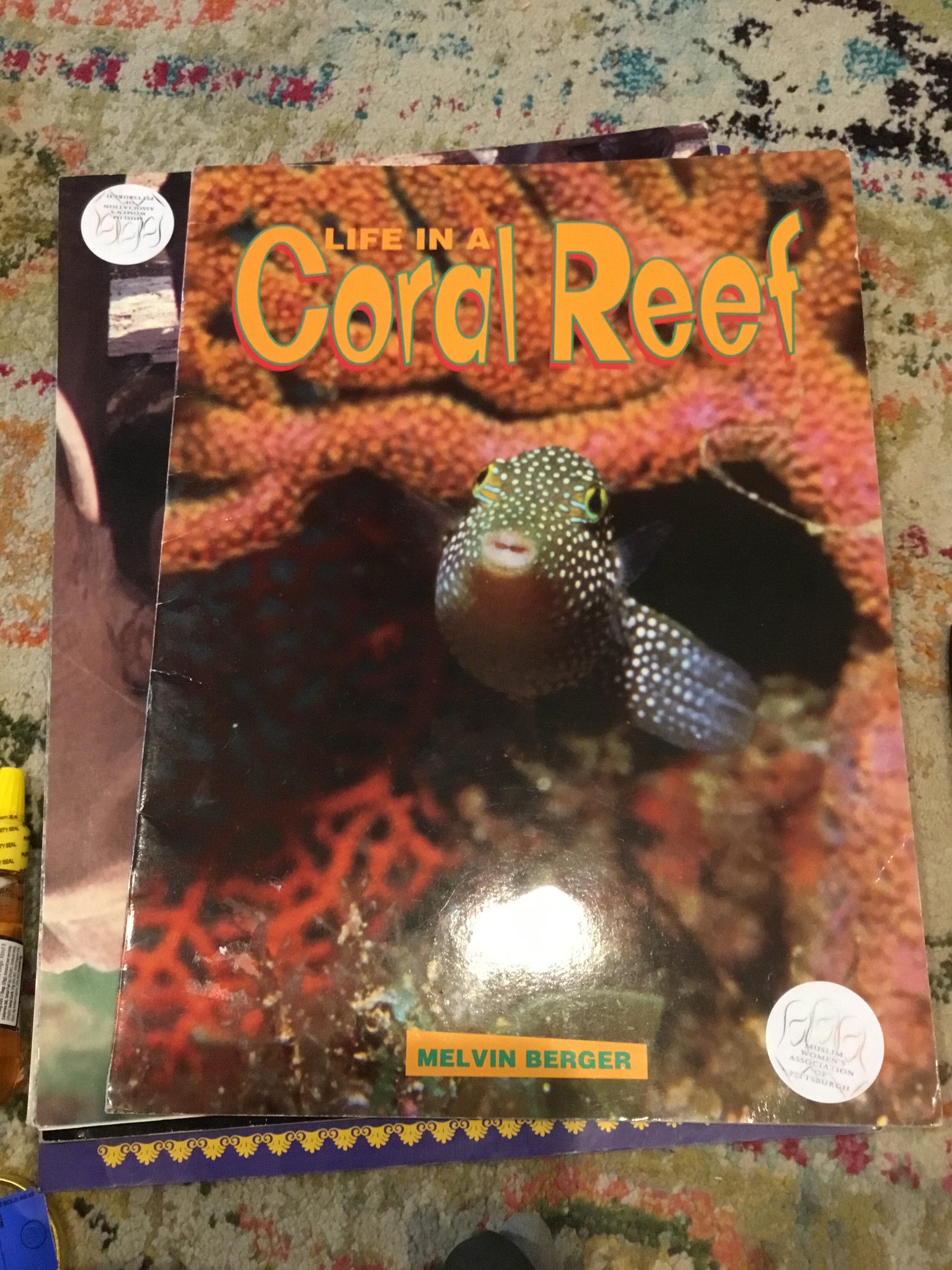 Life in a Coral Reef