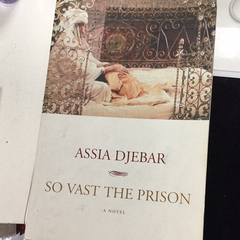 So Vast The Prisoner