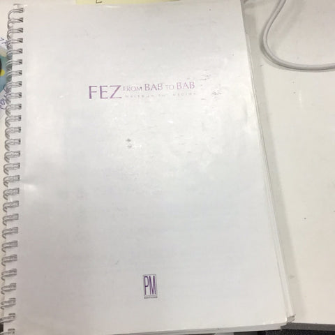 Fez From Bab to Bab Walks to Medina