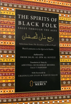 The spirits of black folk: sages through the ages