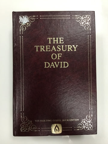 The treasure of David