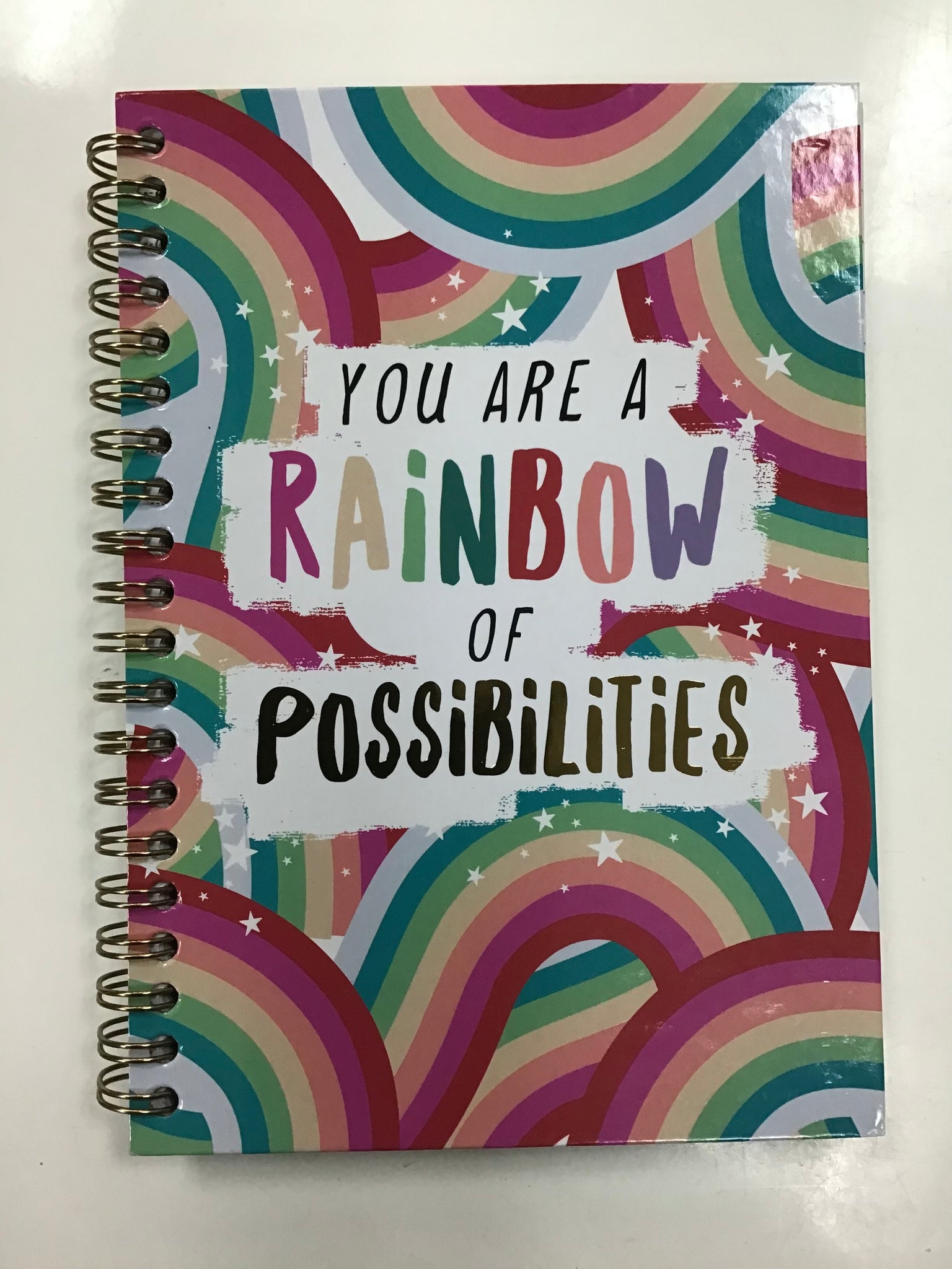 You Are A Rainbow Of Possibilities Notebook