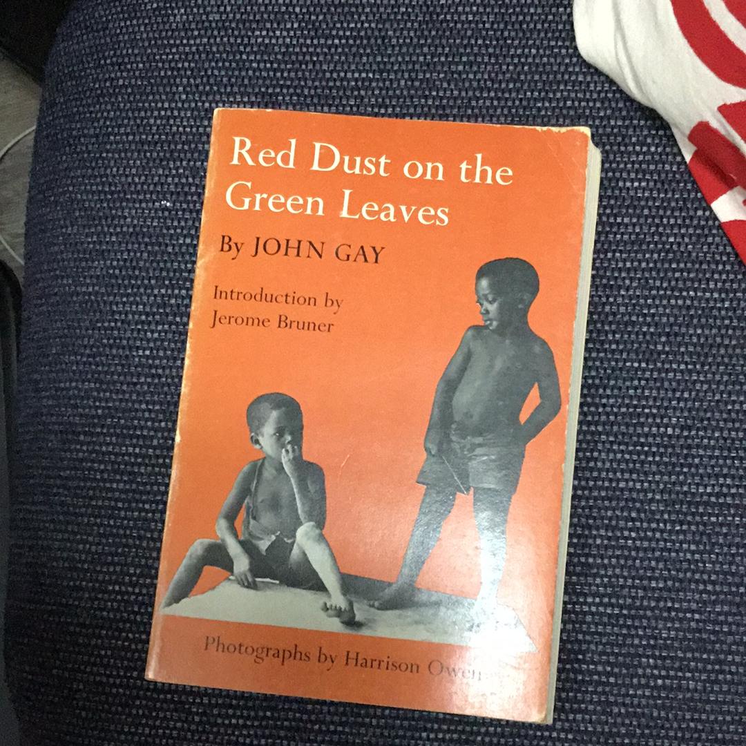 Red Dust on the Green Leaves