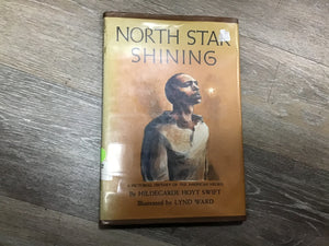 North Star Shining
