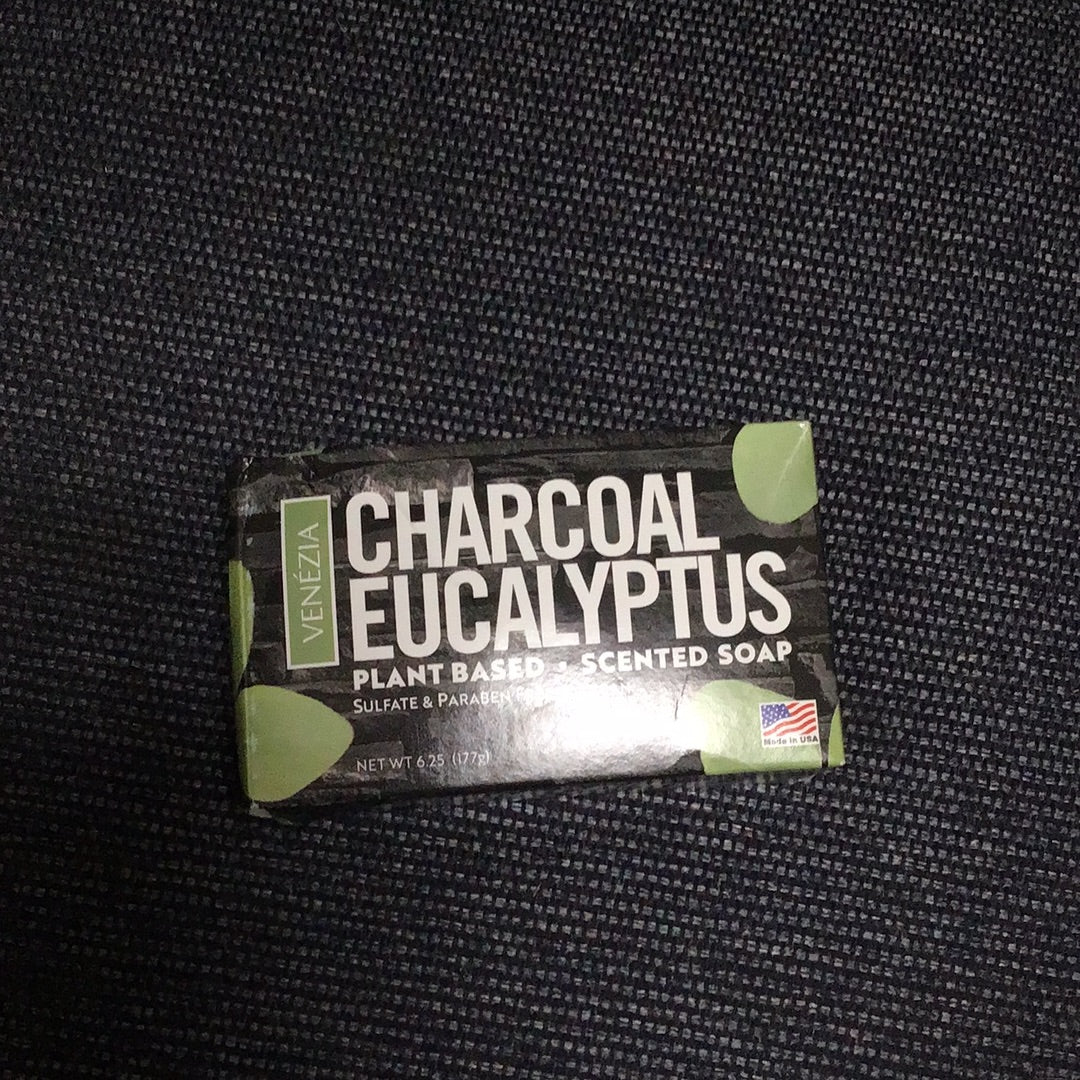 Charcoal Eucalyptus Soap