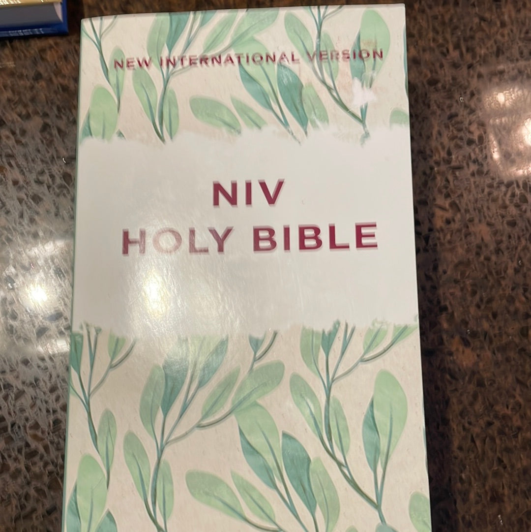 NIV Holy Bible