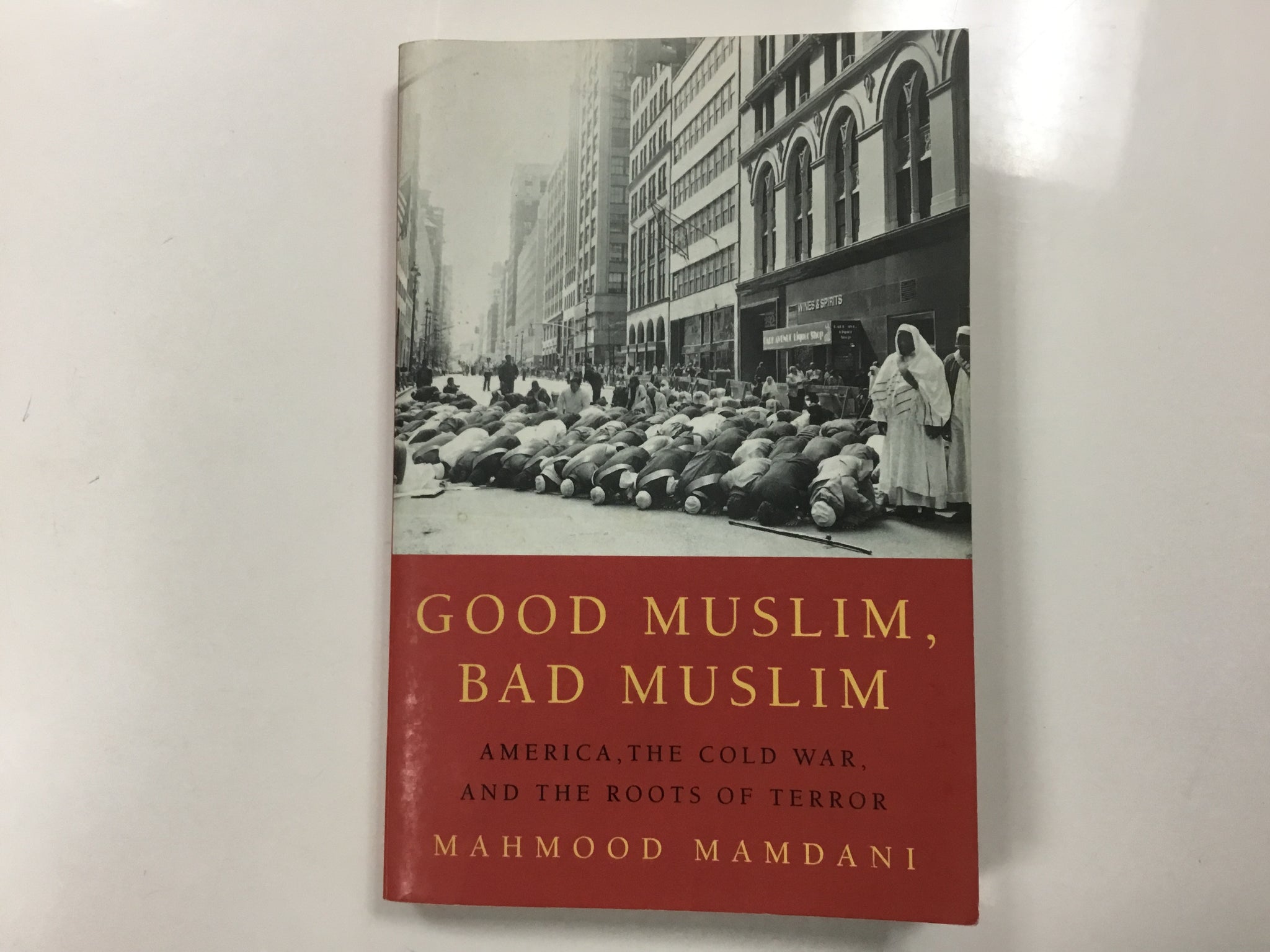 Good Muslim, bad Muslim (America, the Cold War, and the roots of terror)