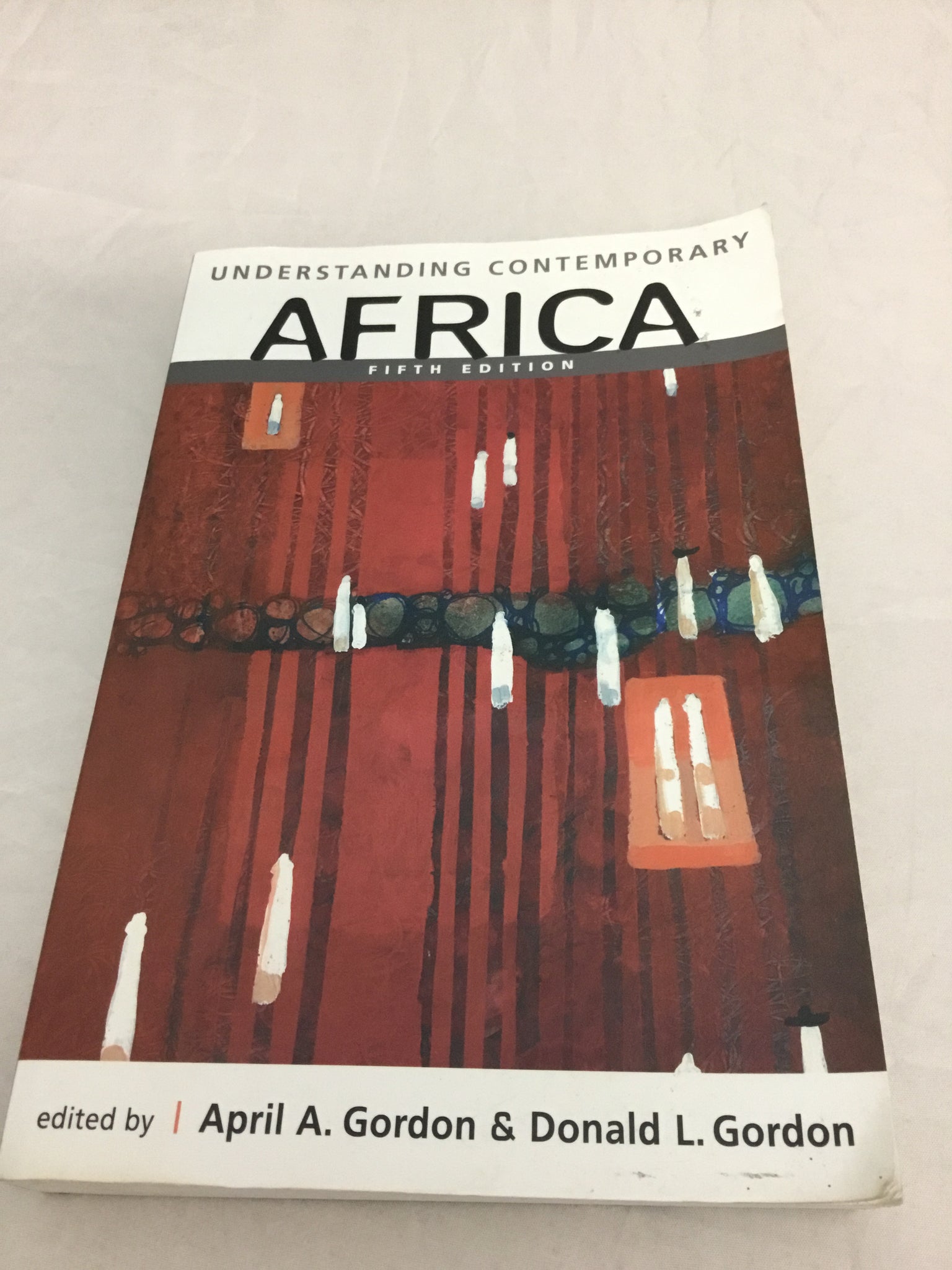 Understanding Contemporary Africa