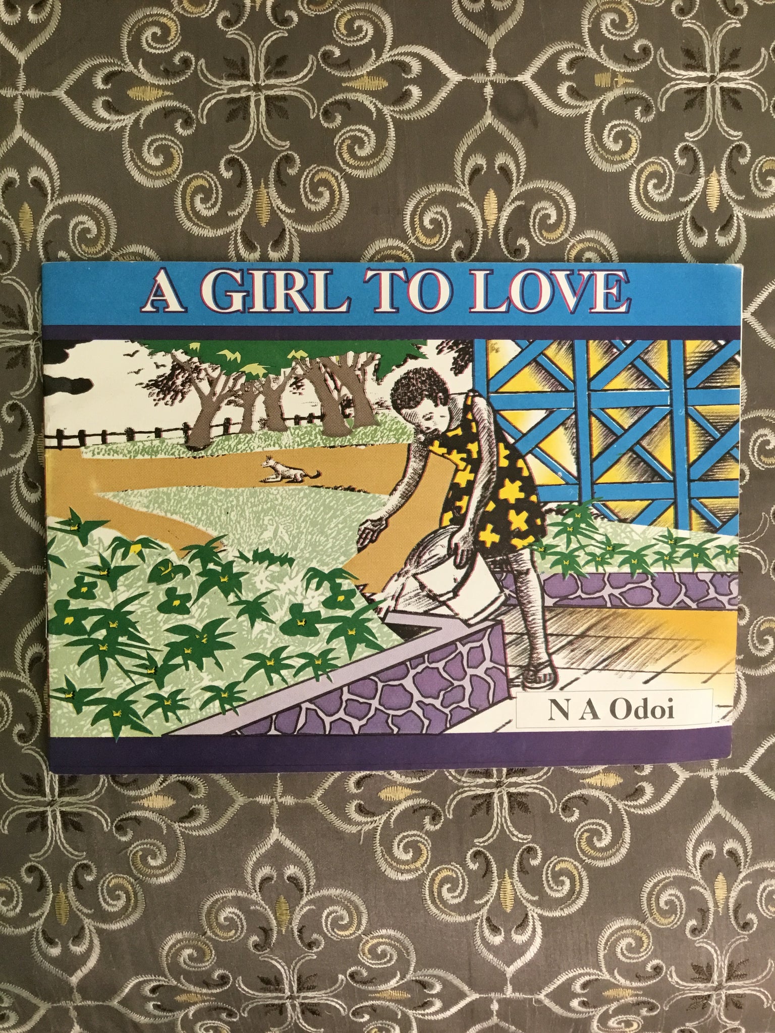 A Girl to Love