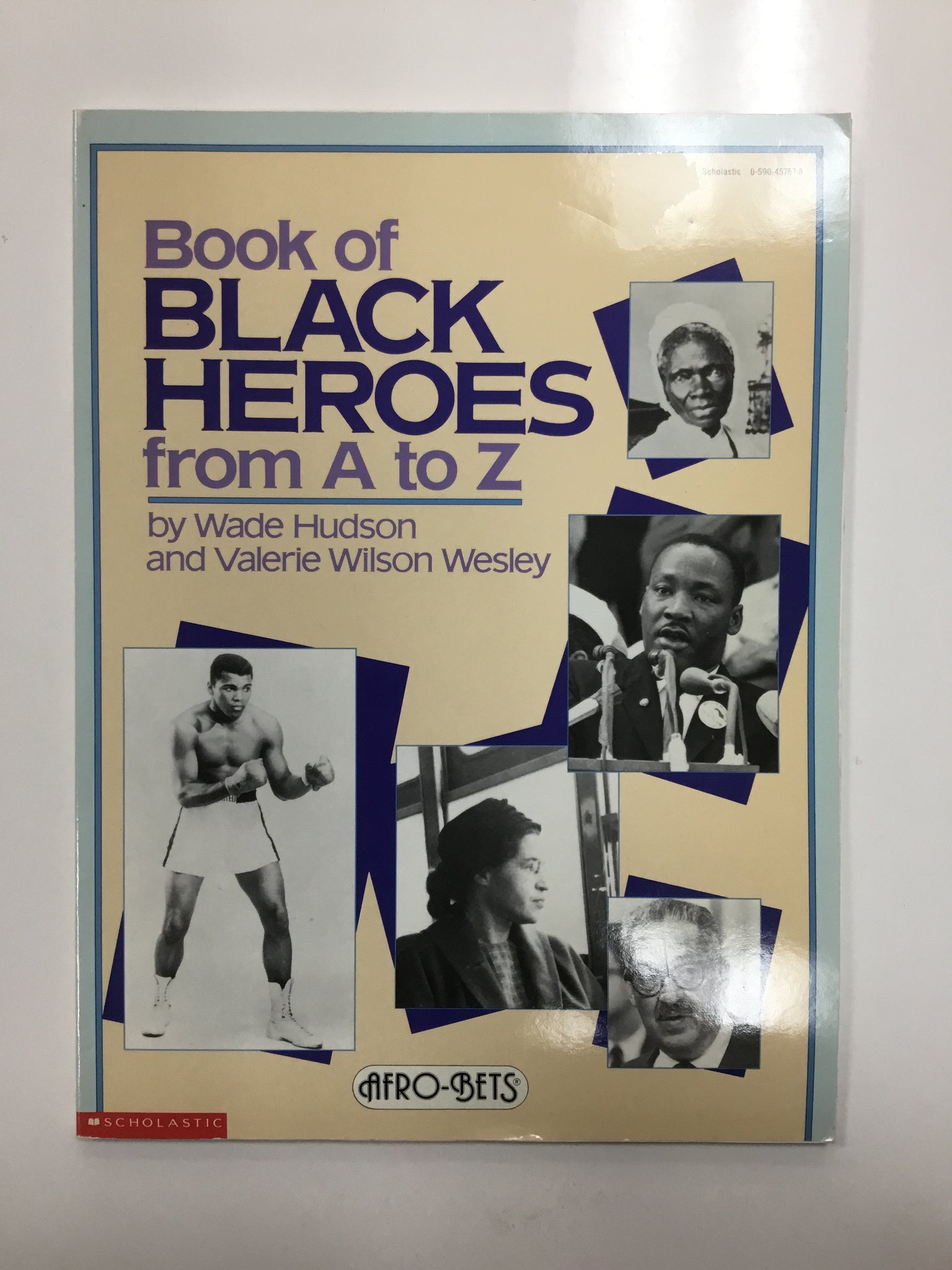 Book of black heroes from A to Z