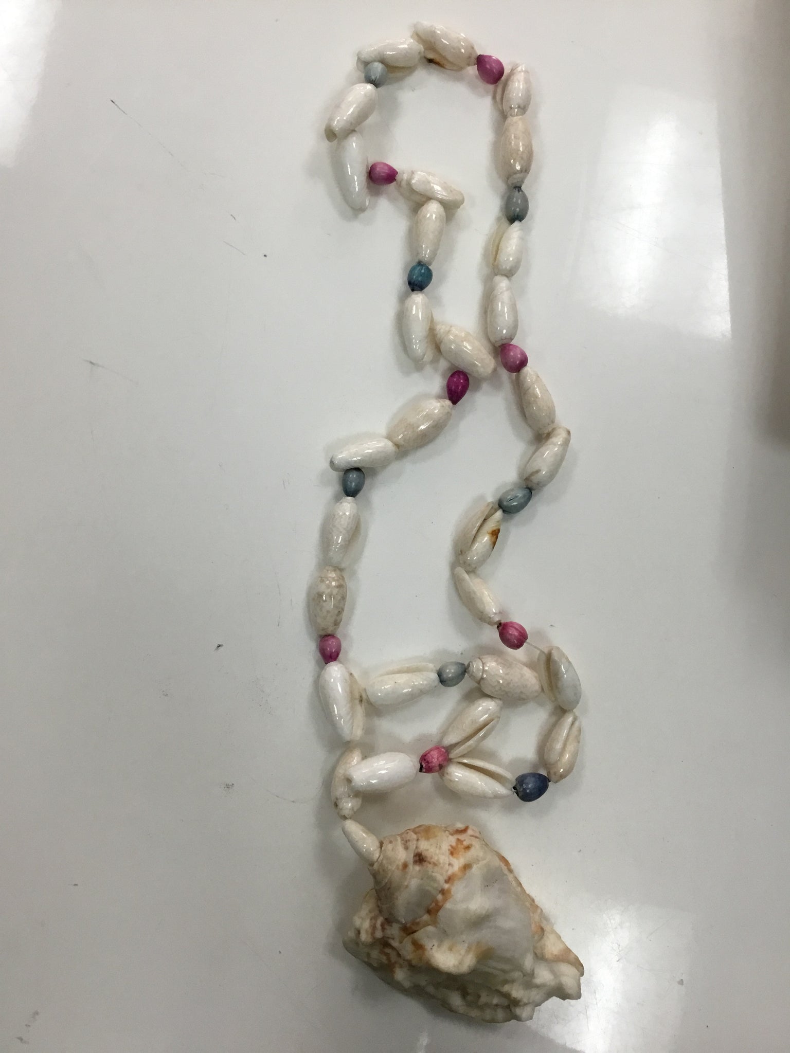 Cowrie shells necklace