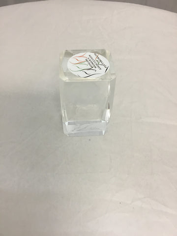 Steeler Paper Weight