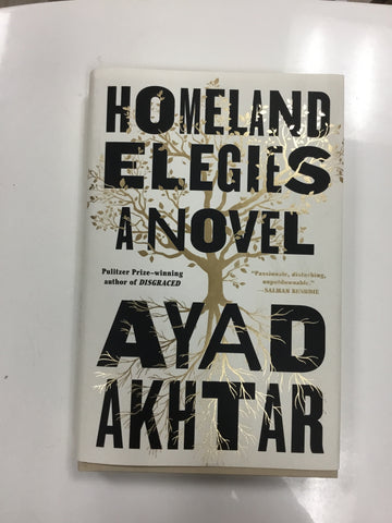 Homeland elegies a novel