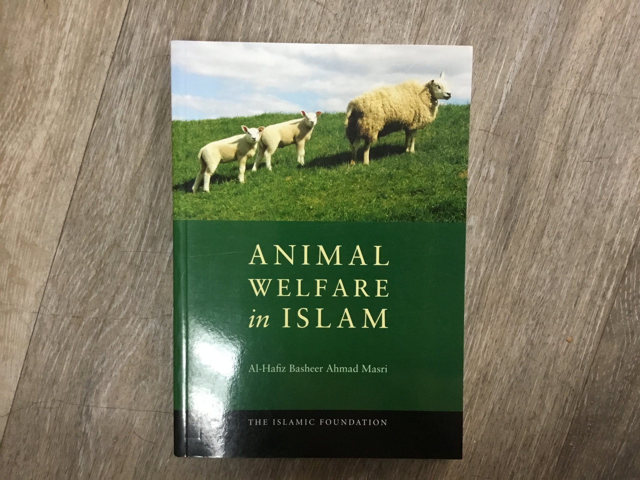 Animal welfare  in Islam