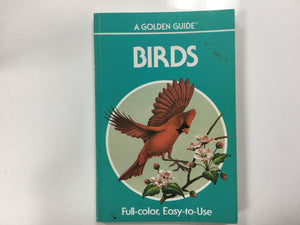 A golden guide Birds