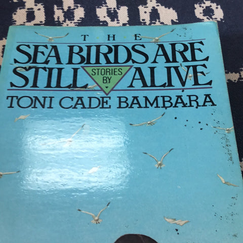 Sea birds are still alive