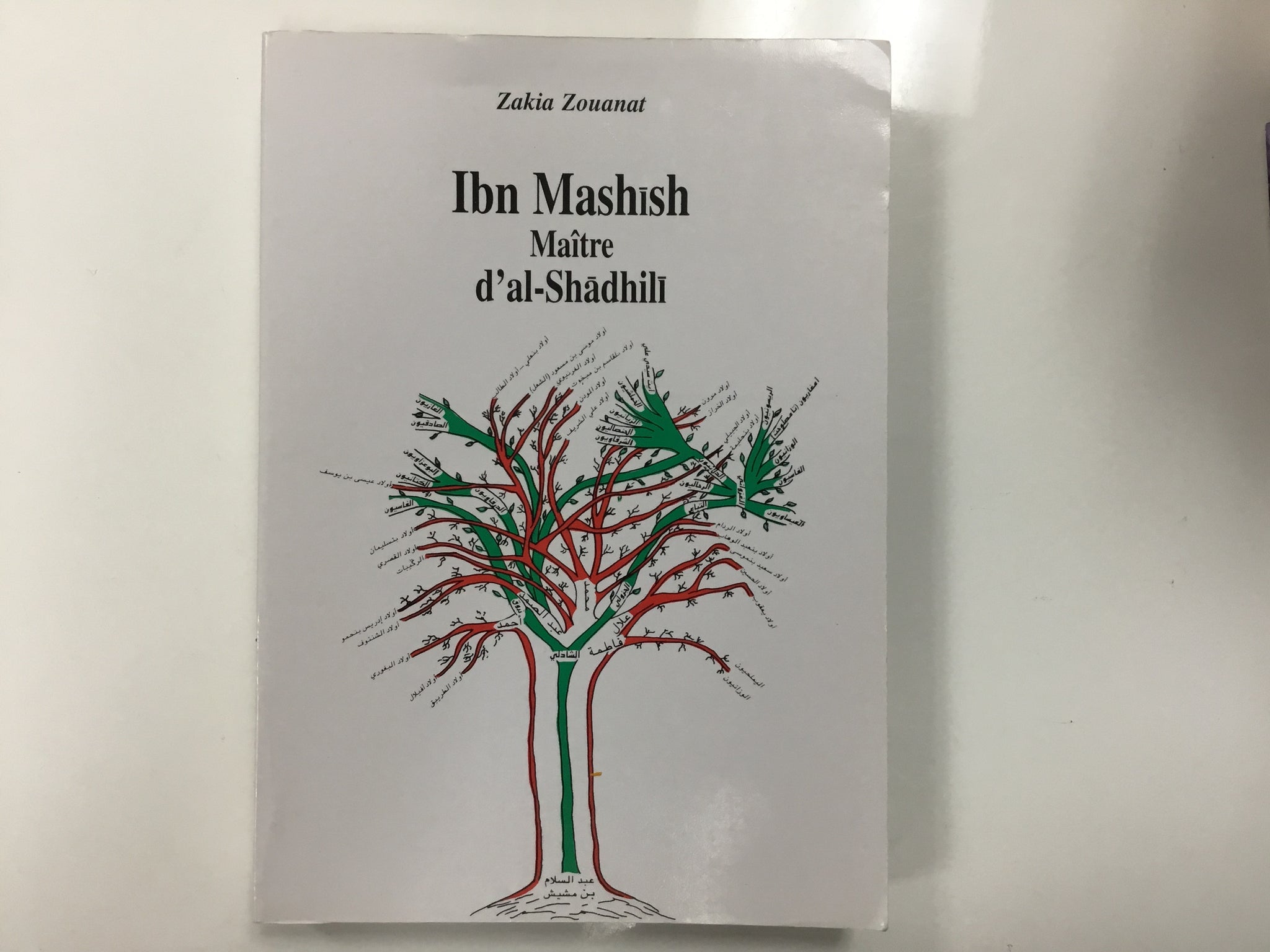 Ibn Mashish Maître d’al-Shadhili