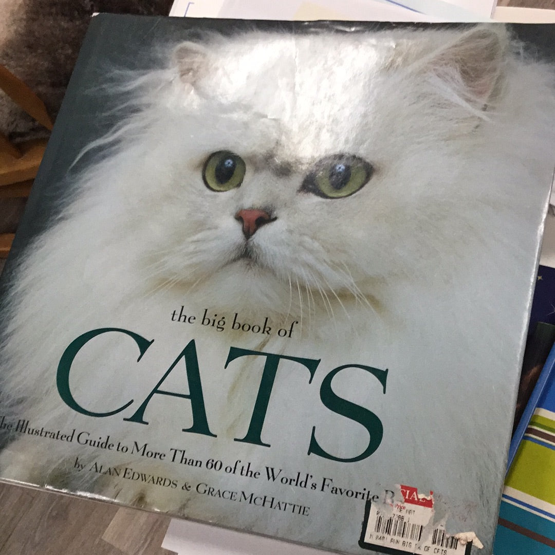 The Big Book of Cats