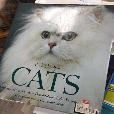 The Big Book of Cats