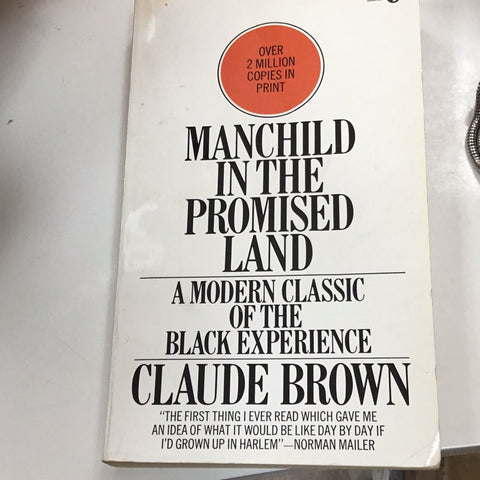 Manchild in the Promised Land