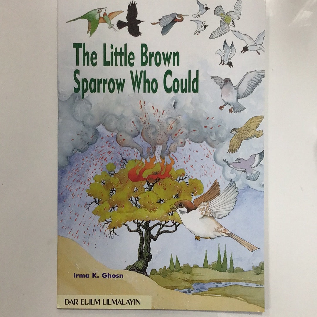 The little Brown Sparrow Who Could by Irma K Ghosn