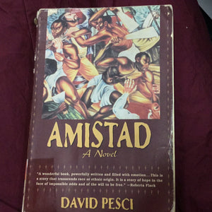 Amistad: a novel