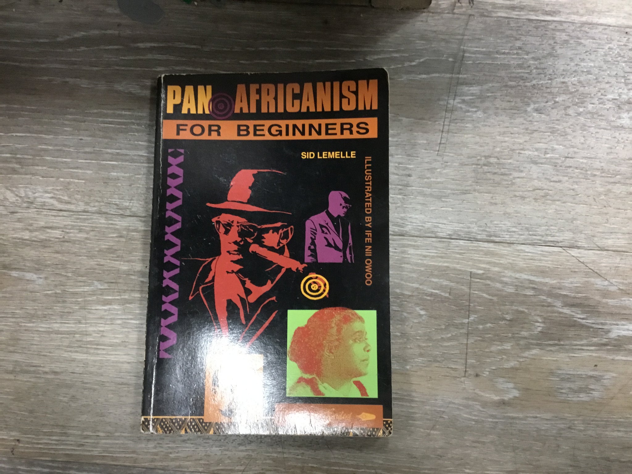 Pan Africanist For Beginners