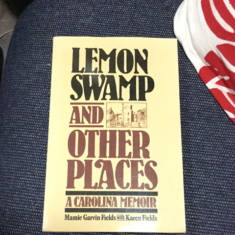 Lemon Swamp and Other Places