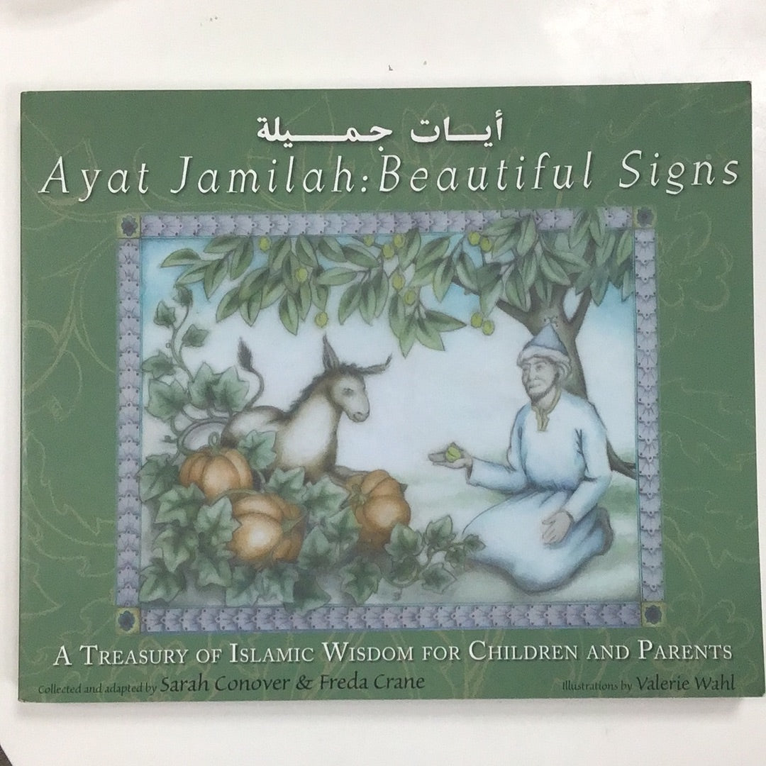 Ayat jamilah  beautiful signs