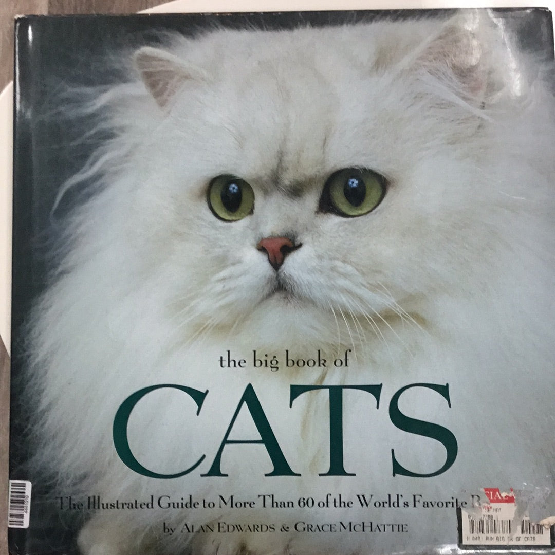 Big Book of Cats