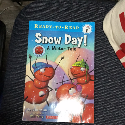 Snow Day! A Winter Tale
