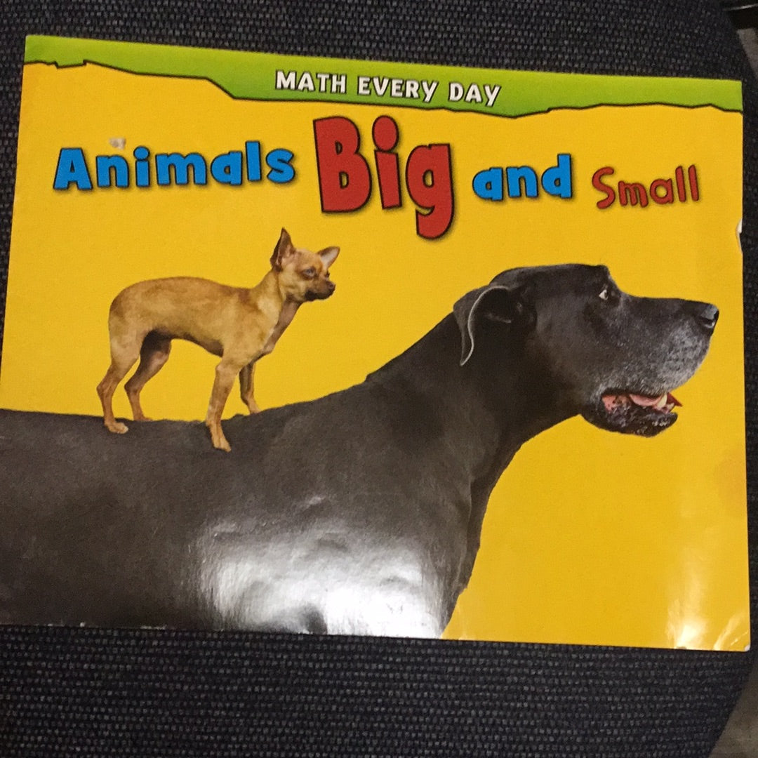 Animals Big and Small