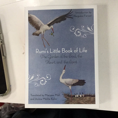 Rumi little book of life