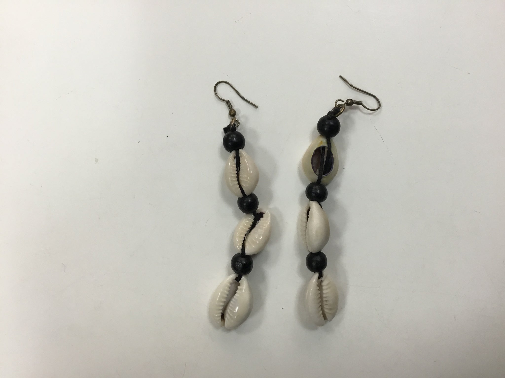 2 cowrie shells earrings